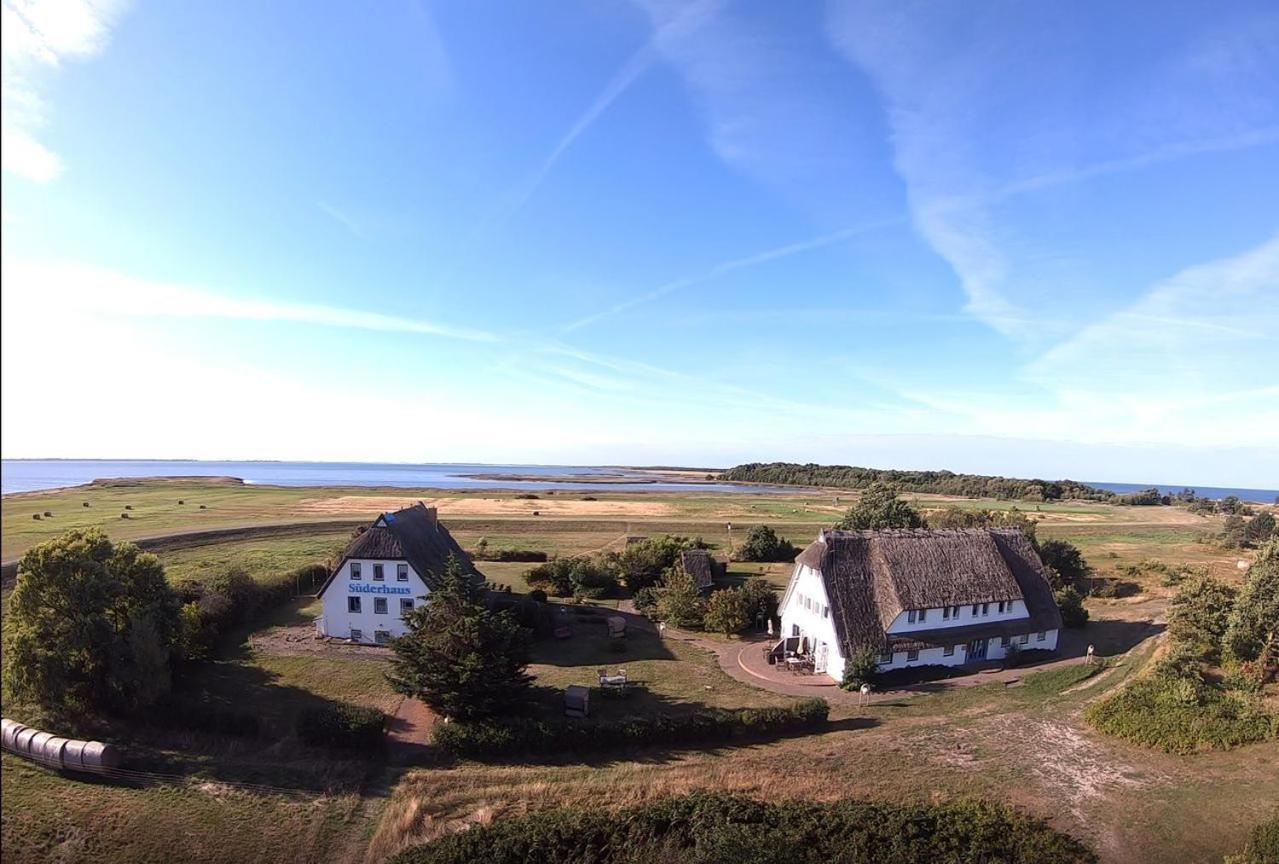 Suederhaus Hiddensee App 4 * Neuendorf (Hiddensee)